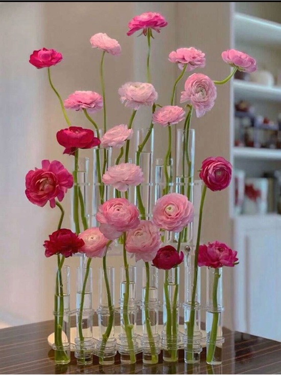 no brand Other - NWT- 8 Piece Test Tube Vase Set